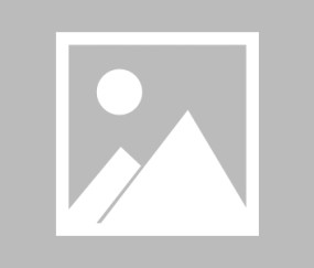 九游app官网下载 -包含e纟騚?\猟5漅??骨幒l;?e;矚{蝗誃_?岉嚌厰I7檴*鯤昒軁L{燙~的词条